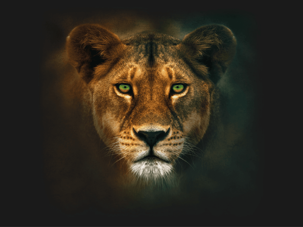 About Liontrust
